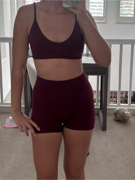 Pants - Wine Burgundy Seamless Sports Bralette & High-Waist Shorts Set